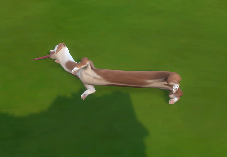 Site hosted by Neocities