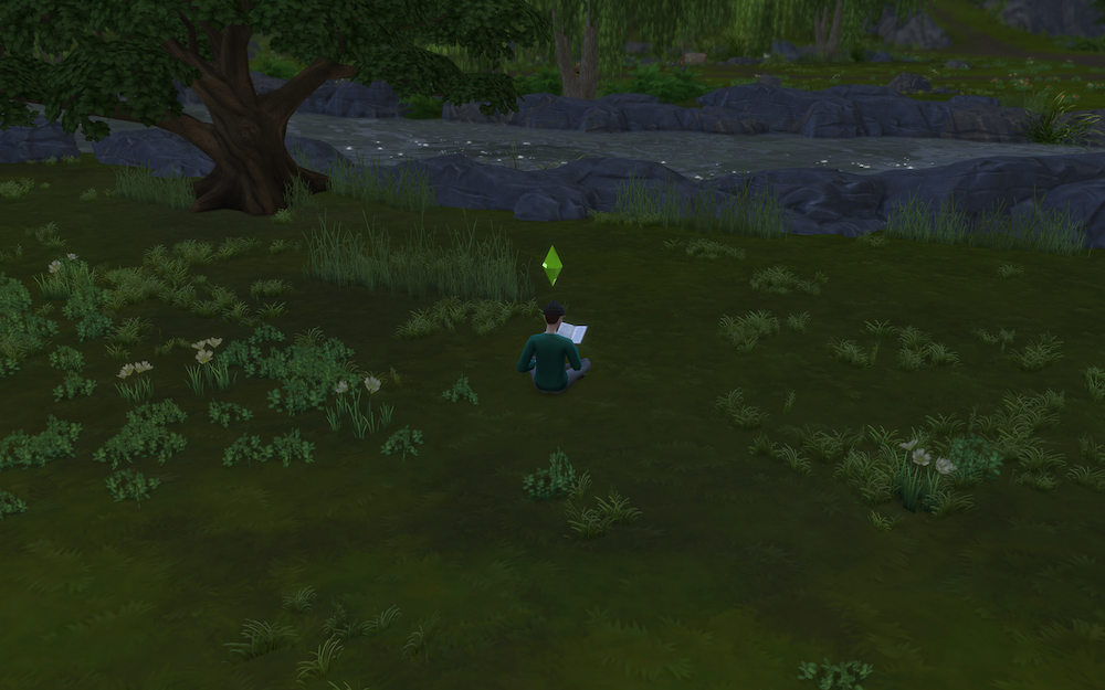 Sim reading by the water